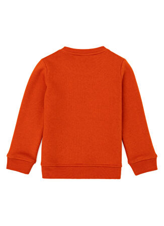 U.S. Polo Assn. Erkek Çocuk  Kiremit Sweatshırt DUTSEKIDS
