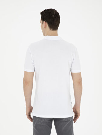 Pierre Cardin Erkek T-shirt