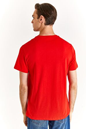 U.S. Polo Assn. Erkek Regular Tişört 50279620-VR030