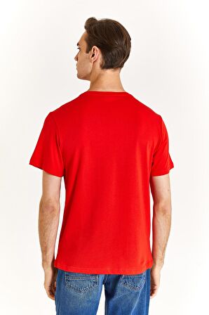 U.S. Polo Assn. Erkek Regular Tişört 50279632-VR030