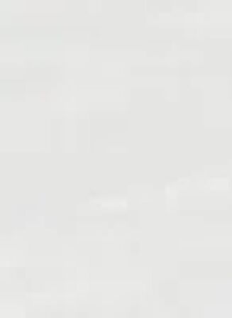 U.S. Polo Assn. Bisiklet Yaka Ekru Kadın T-Shirt PATRIC