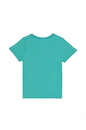 U.S. Polo Assn. Erkek Çocuk T-shirt 2084860