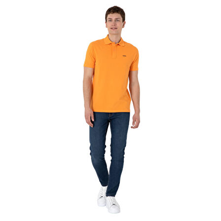 Erkek Regular Fit Polo Yaka Basic T-Shirt