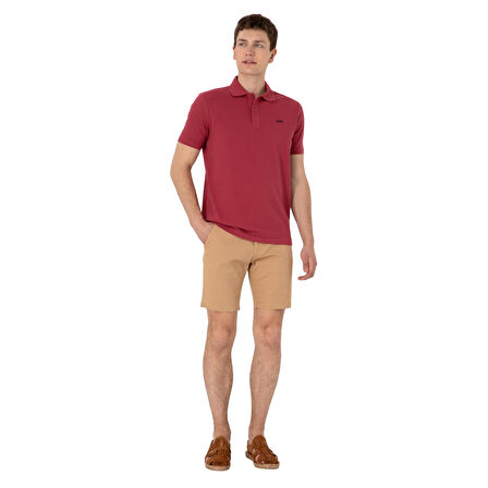 Erkek Regular Fit Polo Yaka Basic T-Shirt