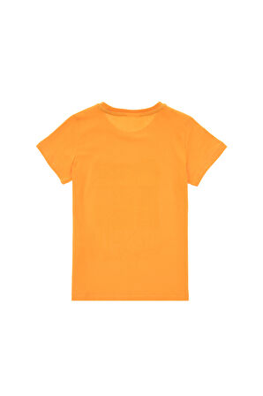U.S. Polo Assn. Erkek Çocuk T-shirt 2104889