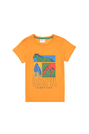 U.S. Polo Assn. Erkek Çocuk T-shirt 2104889