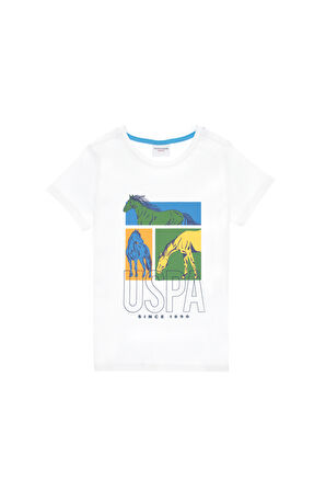 U.S. Polo Assn. Erkek Çocuk T-shirt 2104889