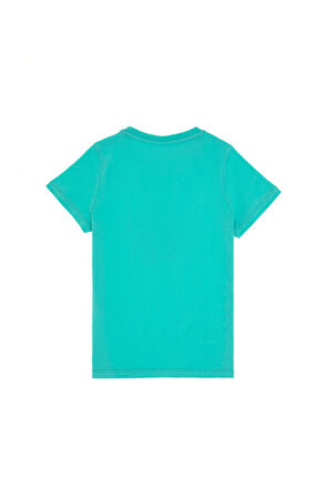 U.S. Polo Assn. Erkek Çocuk T-shirt 2113652