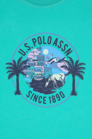 U.S. Polo Assn. Erkek Çocuk T-shirt 2113652