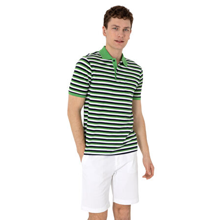 Erkek Regular Fit Polo Yaka Çizgili Tişört