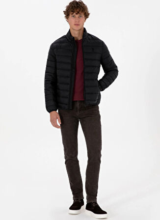 U.S. Polo Assn. Siyah Erkek Mont BONY