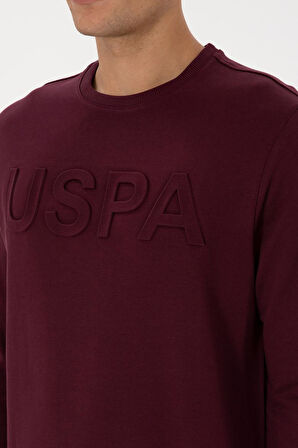 U.S. Polo Assn. Erkek Regular Sweatshirt G081SZ082