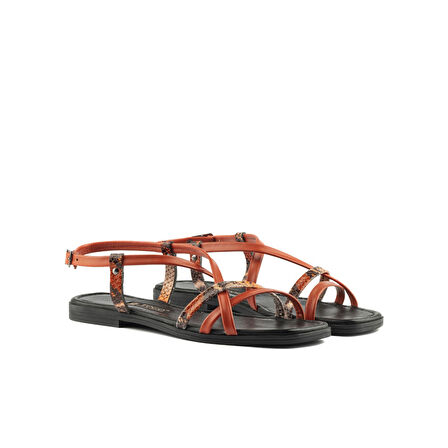 Kadın Düz Sandalet [060141]