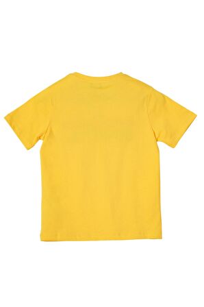 Erkek Çocuk Tshirt BNT-B21361