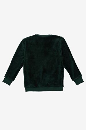 Erkek Çocuk Tshirt BNT-B20943