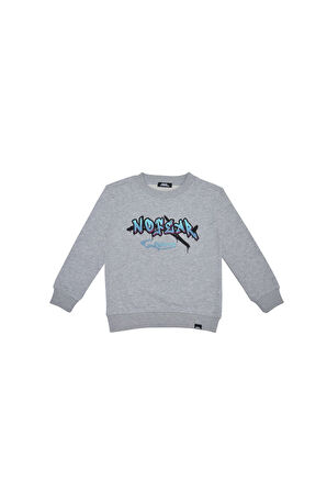 Erkek Çocuk Sweatshirt