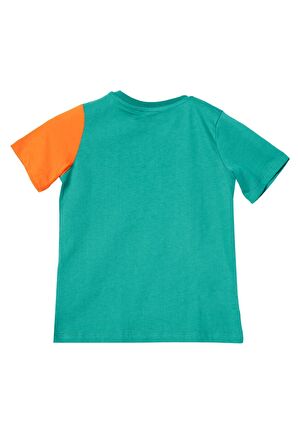 Erkek Çocuk Tshirt BNT-B21353