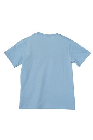 Erkek Çocuk Tshirt BNT-B21361