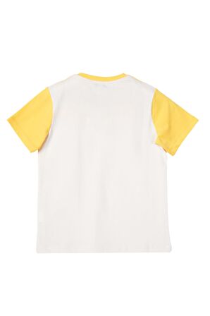 Erkek Çocuk Tshirt BNT-B21364