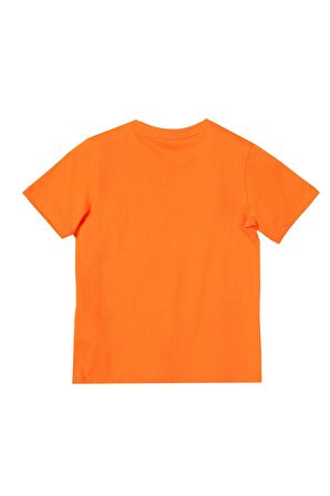 Erkek Çocuk Tshirt BNT-B21367