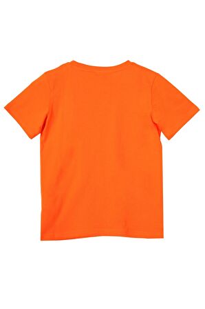 Erkek Çocuk Tshirt BNT-B21382