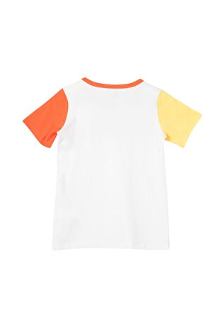 Erkek Çocuk Tshirt BNT-B21403