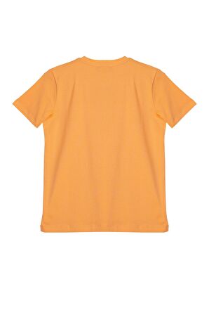 Erkek Çocuk Tshirt BNT-B21405