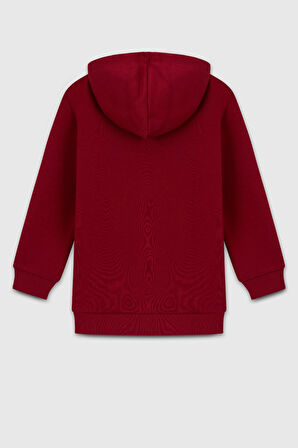 Erkek Çocuk BNT-B23341 Sweatshirt Kırmızı