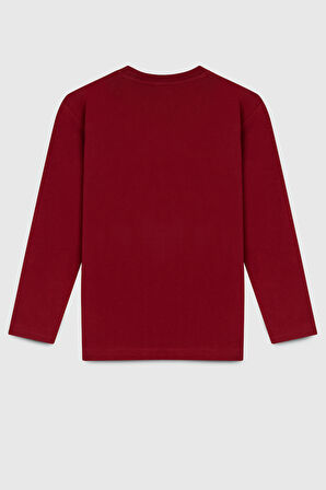 Benetton Erkek Çocuk Uzun Kollu Tshirt BNT-B23337