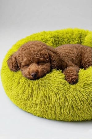 United Colors of Benetton BNTMKT-0012-2-YE Uzun Kürklü Donut Kedi&Köpek Yatağı SARI 55 CM