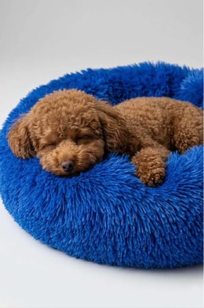 United Colors of Benetton BNTMKT-0012-BL Uzun Kürklü Donut Kedi&Köpek Yatağı Mavi 45 CM