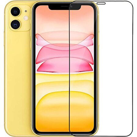 Go-Des iPhone 12 Mini Go Des Seramik Ekran Koruyucu