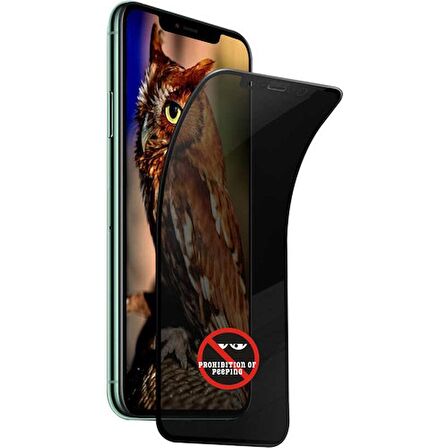 Go-Des iPhone 12 Pro Go Des Hayalet Gizli Ekran Koruyucu