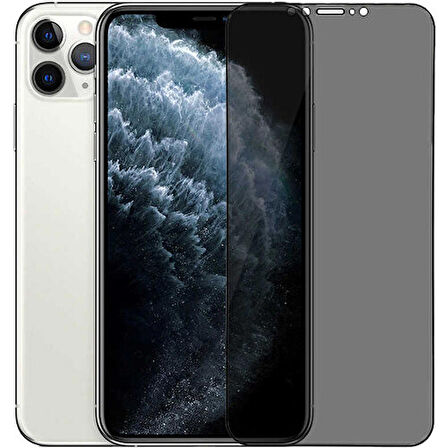 Go-Des iPhone 12 Pro Max Go Des Hayalet Gizli Ekran Koruyucu