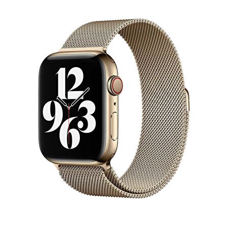 Apple Watch 38mm Uyumlu Wiwu Minalo Metal Saat Kordon Kayış Bileklik