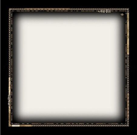 Armine Beyaz Tivil İpek Eşarp 8928-06