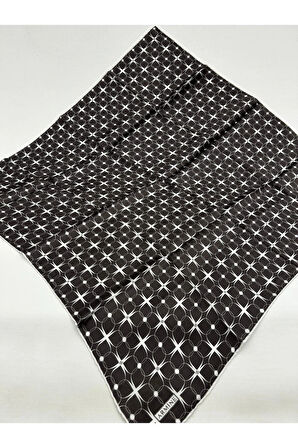 ARMİNE SURA İPEK EŞARP 24KA9207D01-85