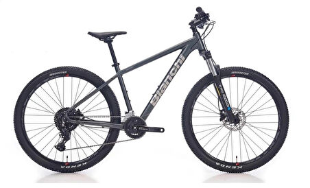 BIANCHI MAGMA 29.1 ERKEK DAĞ BİSİKLETİ 430H HD 29 JANT 24 VİTES ALTUS DARK GREY SİLVER GLOSS