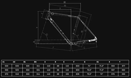 2025 BIANCHI NIRONE 7 DISC 105 12S YOL BİSİKLETİ