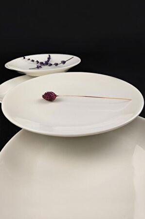 Digithome 6'lı Deniz Form Pasta Tabağı Seti 19 Cm Krem – TL4037058 C320.003