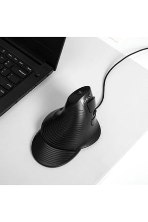 Delux M618GX Ergonomik Dikey 6 Tuşlu Kablosuz Optik Mouse