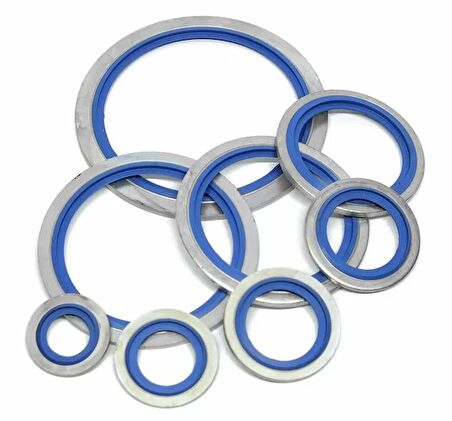 2" R O-RİNGLİ SÜPER PUL