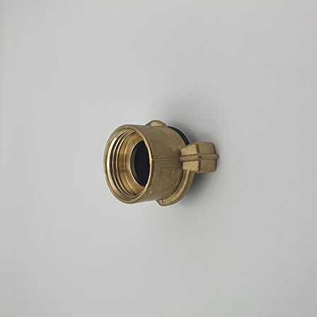 Tırnaklı Hortum Rekoru Dişi 1"