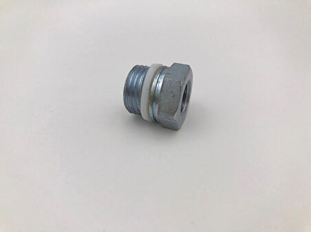 Ford Direksiyon Rekoru