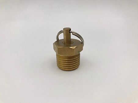 SU ALMA TAPASI  ( ÇEK VALF  ) 1/2 NPT