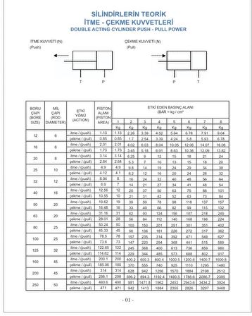 Q 12 - 100 MM PNÖMATİK ÇİFT ETKİLİ MANYETİK KALEM SİLİNDİR ( PİSTON )