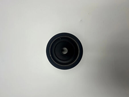 Pnömatik Piston Keçesi Nbr Sac Yay K26 - 10x50x25