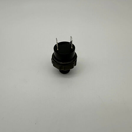 Basınç Şalteri Mini 8Bar - 220v - 1/4