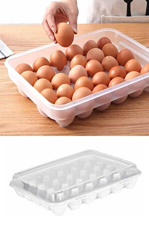 OLLEVRA 30lu Yumurta Saklama Kabı