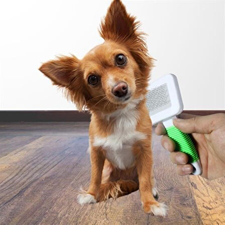 OLLEVRA Kedi Köpek Telli Küçük Boy Tüy Bakım Seti Evcil Hayvan Tarama Fırçası